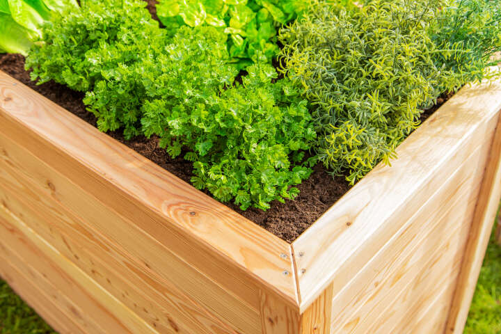 WESTMANN Hochbeet Klassik